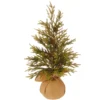 18" Potted Glitter Pine Full Artificial Christmas Tree - Unlit 1 18" Potted Glitter Pine Full Artificial Christmas Tree - Unlit -Noel Twinkle Shop 21hv27yhppkbvy1vbhu7vl52zxxlawhj 67051.1667578316