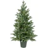 4' Potted Blue Spruce Artificial Christmas Tree, Clear Lights 1 4' Potted Blue Spruce Artificial Christmas Tree, Clear Lights -Noel Twinkle Shop 427 59436.1683152368