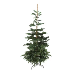 9' Layered Nordmann Fir Artificial Christmas Tree - Unlit 5 9' Layered Nordmann Fir Artificial Christmas Tree - Unlit -Noel Twinkle Shop 5ranbbrpgh3q9mmjpzjkjsljjnhjnqey 02069.1667659824