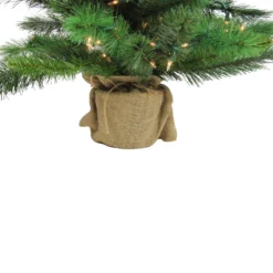 3' Pre-Lit Potted New Carolina Spruce Medium Artificial Christmas Tree - Clear Lights -Noel Twinkle Shop 6umv26h3jfdwordmgfvtt3xnsghorfzp 31950.1667655123