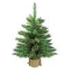 3' Pre-Lit Potted New Carolina Spruce Medium Artificial Christmas Tree - Clear Lights -Noel Twinkle Shop 7rjx1uxnd3jwra2mvxmfo8ikd1jszswx 50906.1667655122