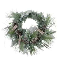 24” Artificial Frosted Pine, Birch Scrolls And Pine Cone Christmas Wreath - Unlit