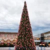 30' Pre-Lit Giant Everest Fir Commercial Christmas Tower Tree - Warm White C7 LED Lights 1 30' Pre-Lit Giant Everest Fir Commercial Christmas Tower Tree - Warm White C7 LED Lights -Noel Twinkle Shop cc20k4373 18t20clear 1 74405.1680153262