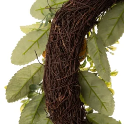 Greenery Lemon Artificial Christmas Wreath - 22-Inch, Unlit -Noel Twinkle Shop dglit 2009600005 3 10347.1667562181