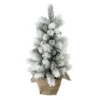 19" Potted Slim Flocked Mini Pine Artificial Christmas Tree In Burlap Base - Unlit -Noel Twinkle Shop diofliqavkn6p2y2vtaybn0wbfcmjlzm 79325.1667657551