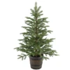 4' Potted Norwegian Spruce Entrance Artificial Christmas Tree – Unlit -Noel Twinkle Shop dnat20peng4 700 40p 18880.1667574614