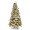 7.5’ Pre-Lit Snowy Everest Fir Artificial Christmas Tree - Clear Lights 1 7.5’ Pre-Lit Snowy Everest Fir Artificial Christmas Tree - Clear Lights -Noel Twinkle Shop dnat20pev3e28090311e2809075 01089.1667580445