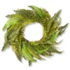 Fern Artificial Wreath - 35-Inch, Unlit -Noel Twinkle Shop dnat20qfrn8 10 35w 20066.1667494755
