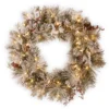 30" Pre-Lit Snowy Bedford Pine Artificial Christmas Wreath - LED Lights With Battery Operated -Noel Twinkle Shop dnat20sbe1 308 30wbc1 11742.1667580431