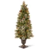 5" Pre-Lit Potted Wintry Pine Artificial Entrance Tree - Clear Lights -Noel Twinkle Shop dnat20wp1e28090302e2809050 57493.1667512031