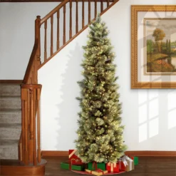 7 Ft. Carolina Pine Slim Tree With Clear Lights 6 7 Ft. Carolina Pine Slim Tree With Clear Lights -Noel Twinkle Shop dnat cap3 330 70 2 52751.1667580423