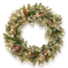 Pre-Lit Dunhill Fir Artificial Christmas Wreath With Red Berries – 24-Inch Clear Lights -Noel Twinkle Shop dnat duf 300 24w 1 1 50279.1667616351