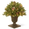 24” Pre-lit Frosted Berry Porch Christmas Tree – Clear Lights -Noel Twinkle Shop dnat frb3 24plo 1 80617.1667522079