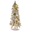 24” Pre-Lit Snowy Downswept Artificial Christmas Tree – Clear Lights -Noel Twinkle Shop dnat ftdf1 24alo 1 1 67048.1667536267