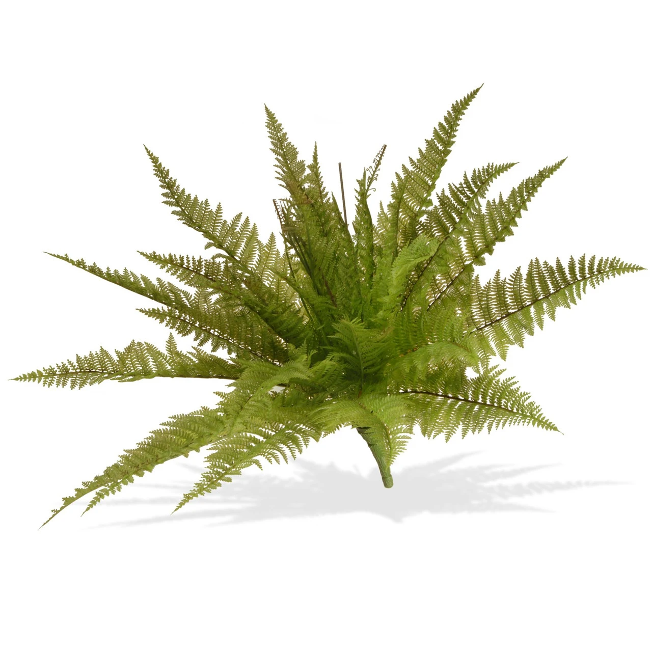 21" Garden Accents Ruffle Fern Plant 3 21" Garden Accents Ruffle Fern Plant