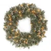 Pre-Lit Glittery Bristle Pine Artificial Christmas Wreath - 24-Inch, Clear Lights -Noel Twinkle Shop dnat gb3 300 24w 1 1 98916.1667684349