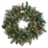 Pre-Lit Golden Bristle Pine Artificial Christmas Wreath, 24-Inch, Warm White LED Lights 1 Pre-Lit Golden Bristle Pine Artificial Christmas Wreath, 24-Inch, Warm White LED Lights -Noel Twinkle Shop dnat glb1 300 24w b1 36095.1667529464