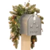 3' Glittery Mountain Spruce Mailbox Swag With White Edged Cones, Red Berries And 35 Warm White Battery Operated LEDs -Noel Twinkle Shop dnat glm1 300 3m b1 1 10246.1667654668