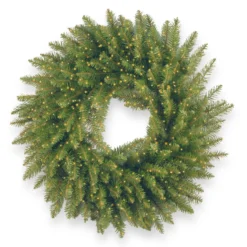 24" Pre-Lit B/O Kingswood Fir Artificial Christmas Wreath - Warm White LED Infinity Lights