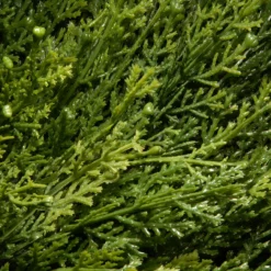 4.5' Potted Juniper Spiral Slim Artificial Christmas Tree - Unlit -Noel Twinkle Shop dnat lcysp4 710 54 2 78932.1667574380