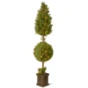 6' Pre-lit Potted Juniper Spiral Pencil Artificial Christmas Tree - Clear Lights 1 6' Pre-lit Potted Juniper Spiral Pencil Artificial Christmas Tree - Clear Lights -Noel Twinkle Shop dnat lcyt4 302 72 1 99996.1667574381