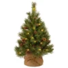 3' Pre-Lit Potted Pine Cone Battery Operated Medium Artificial Christmas Tree - Warm White LED Lights 1 3' Pre-Lit Potted Pine Cone Battery Operated Medium Artificial Christmas Tree - Warm White LED Lights -Noel Twinkle Shop dnat pc3 3bp b 1 52416.1667489205