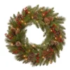 30" Pre-Lit Bristle Berry Battery Operated Artificial Christmas Wreath - Warm White LED Lights 1 30" Pre-Lit Bristle Berry Battery Operated Artificial Christmas Wreath - Warm White LED Lights -Noel Twinkle Shop dnat pebb3 300 24wb1 1 80787.1667570725