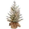 2.5' Pre-Lit Medium Snowy Cambridge Artificial Christmas Tree - Warm White LED Lights 1 2.5' Pre-Lit Medium Snowy Cambridge Artificial Christmas Tree - Warm White LED Lights -Noel Twinkle Shop dnat pecaf1 306 25b1 1 57068.1667575688