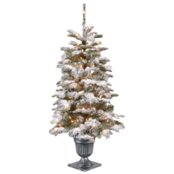4' Pre-lit Potted Snowy Camden Entrance Artificial Christmas Tree β Clear Lights