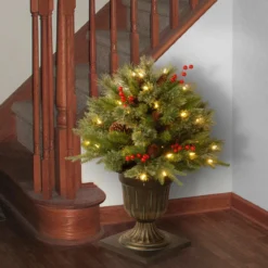 24” Pre-lit Potted Colonial Porch Bush Artificial Christmas Tree – Clear Lights 7 24” Pre-lit Potted Colonial Porch Bush Artificial Christmas Tree – Clear Lights -Noel Twinkle Shop dnat peco1 300 24p 3 11436.1667580441