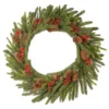 24" Pre-Lit Dorchester Fir Battery Operated Artificial Christmas Wreath - Warm White Lights -Noel Twinkle Shop dnat pedr3 300 24wb1 1 31158.1667489208
