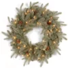 Pre-Lit Frosted Arctic Spruce Artificial Christmas Wreath - 24-Inch, Clear Lights