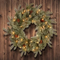 Pre-Lit Frosted Arctic Spruce Artificial Christmas Wreath - 24-Inch, Clear Lights -Noel Twinkle Shop dnat pefa1 307 24w 1 3 80552.1667574609