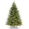 6.5’ Pre-Lit Frasier Grande Artificial Christmas Tree - Clear Lights -Noel Twinkle Shop dnat pefg3 308 65 1 24277.1667574610