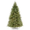 9’ Pre-Lit Frasier Grande Artificial Christmas Tree - Clear Lights 1 9’ Pre-Lit Frasier Grande Artificial Christmas Tree - Clear Lights -Noel Twinkle Shop dnat pefg3 308 90 1 62430.1667576112