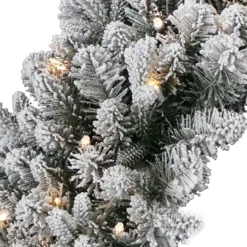 24" Pre-Lit LED Snowy Iceland Fir Artificial Christmas Wreath - Warm White Lights -Noel Twinkle Shop dnat peil2 300 24wb1 3 07561.1667574288