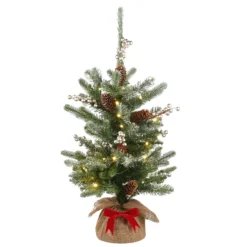 2' Pre-Lit Potted Medium Snowy Morgan Spruce Artificial Christmas Tree, Warm LED Lights