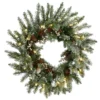 Pre-Lit Snowy Morgan Spruce Artificial Christmas Wreath, 24-Inch, Warm White LED Lights 1 Pre-Lit Snowy Morgan Spruce Artificial Christmas Wreath, 24-Inch, Warm White LED Lights -Noel Twinkle Shop dnat pemg3 31424wbc1 69217.1667517769
