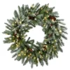 Pre-Lit Snowy Morgan Spruce Artificial Christmas Wreath, 30-Inch, Warm White LED Lights