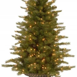 4' Pre-lit Potted Nordic Spruce Entrance Artificial Christmas Tree β Clear Lights
