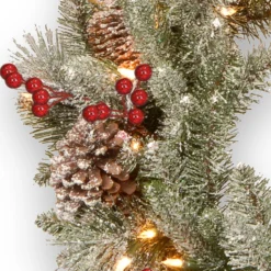 24" Pre-Lit Snowy Bristle Berry Artificial Christmas Wreath - Warm White LED Lights/BO 7 24" Pre-Lit Snowy Bristle Berry Artificial Christmas Wreath - Warm White LED Lights/BO -Noel Twinkle Shop dnat pesb3 300 24wbr 3 74178.1667536238