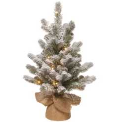 2' Pre-lit Potted Snowy Sheffield Spruce Battery Operated Artificial Christmas Tree, Warm White LED Lights
