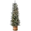6' Pre-lit Potted Snowy Sheffield Spruce Slim Artificial Christmas Tree, Clear Lights -Noel Twinkle Shop dnat pesl8 310 60 66407.1667569188