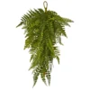 Set Of 2 Artificial Fern Teardrop Christmas Swag, 28-Inch, Unlit 2 Set Of 2 Artificial Fern Teardrop Christmas Swag, 28-Inch, Unlit -Noel Twinkle Shop dnnl204322 s2 1 52262.1688110076