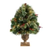 3' Pre-Lit Frosted Pine Artificial Outdoor Christmas Tree, Warm Clear LED Lights 2 3' Pre-Lit Frosted Pine Artificial Outdoor Christmas Tree, Warm Clear LED Lights -Noel Twinkle Shop dnnl20p1811 1 61292.1681393604