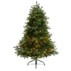 5’ Pre-Lit Flocked North Carolina Fir Artificial Christmas Tree, Warm White Lights -Noel Twinkle Shop dnnl20t3337 1 99107.1680557236