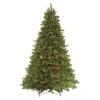 10’ Pre-Lit Full Fraser Fir Artificial Christmas Tree - Clear Lights -Noel Twinkle Shop dpul20277 ff 100c13 10454.1667578389
