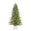 7.5' Pre-lit Potted Green Pine Medium Artificial Christmas Tree, Clear Lights 1 7.5' Pre-lit Potted Green Pine Medium Artificial Christmas Tree, Clear Lights -Noel Twinkle Shop dpul 1824 st75c450 1 69737.1688124628