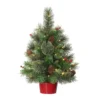 2' Pre-Lit Potted Table Top Artificial Christmas Tree In Red Base, Warm White Lights -Noel Twinkle Shop dpul 1829 st20lw035 bo 1 41704.1667544777