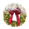 Pre-Lit Half Flocked Artificial Christmas Wreath, 30-Inch, Clear Lights 2 Pre-Lit Half Flocked Artificial Christmas Wreath, 30-Inch, Clear Lights -Noel Twinkle Shop dpul 1886 waf30c07 1 13818.1667544797